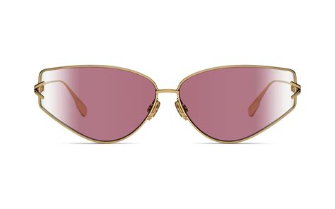 dior small gipsy sunglasses|DiorGipsy2 Pink Shaded Butterfly Sunglasses .